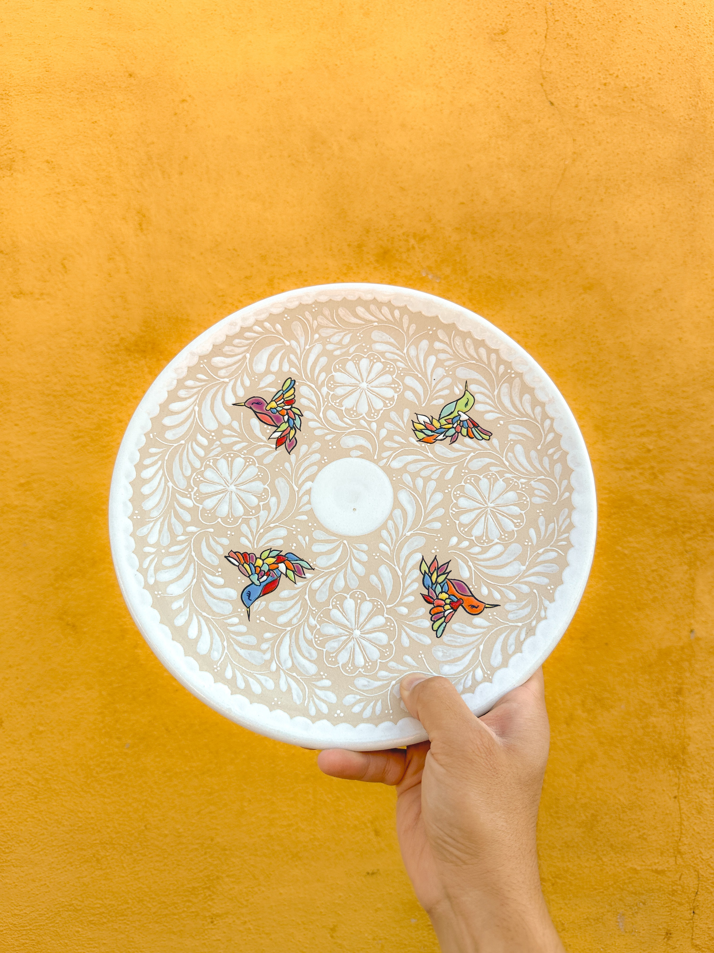 Plato Grande Colibrí - PREVENTA (6 a 12 SEMANAS)