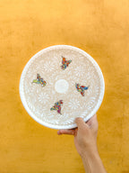 Plato Grande Colibrí - PREVENTA (6 a 12 SEMANAS)