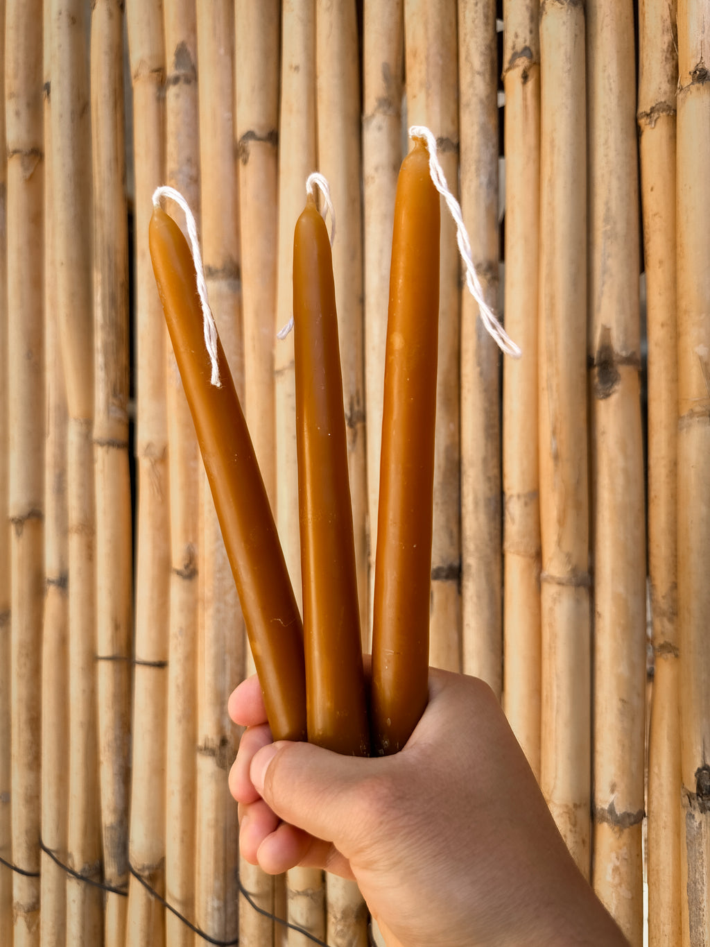 Juego de 3 velas de cera de abeja Naranja