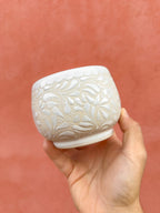 Taza Blanco - PREVENTA (6 a 12 SEMANAS)