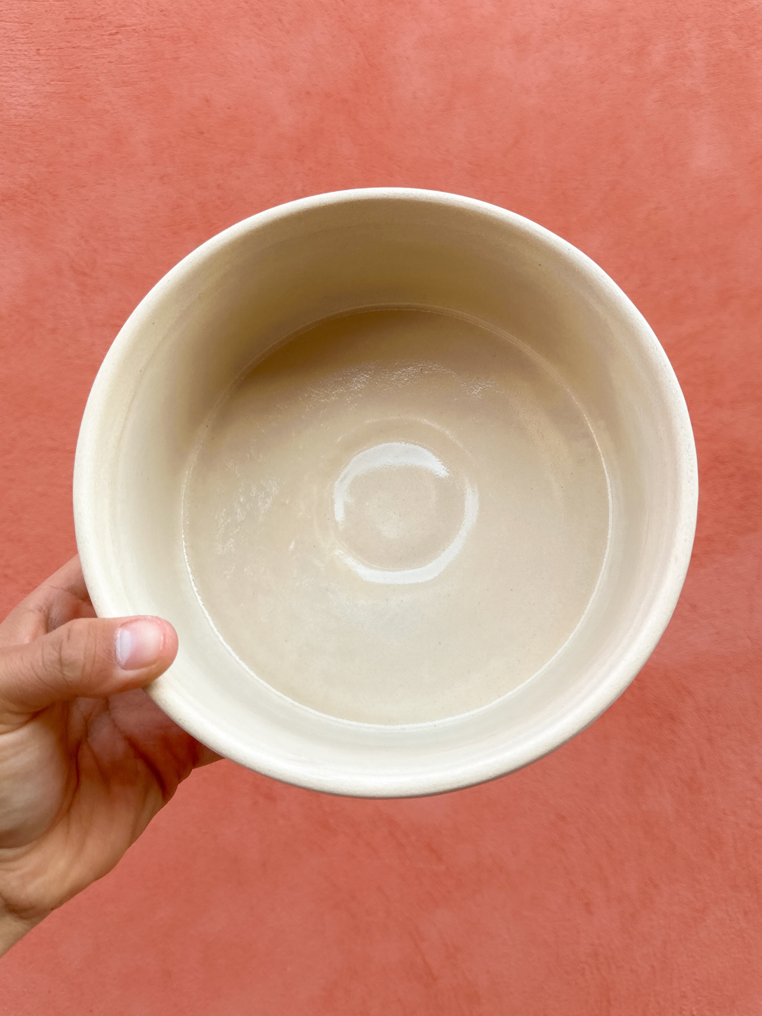 Frutero Mariposa Monarca - PREVENTA (6 a 12 SEMANAS)