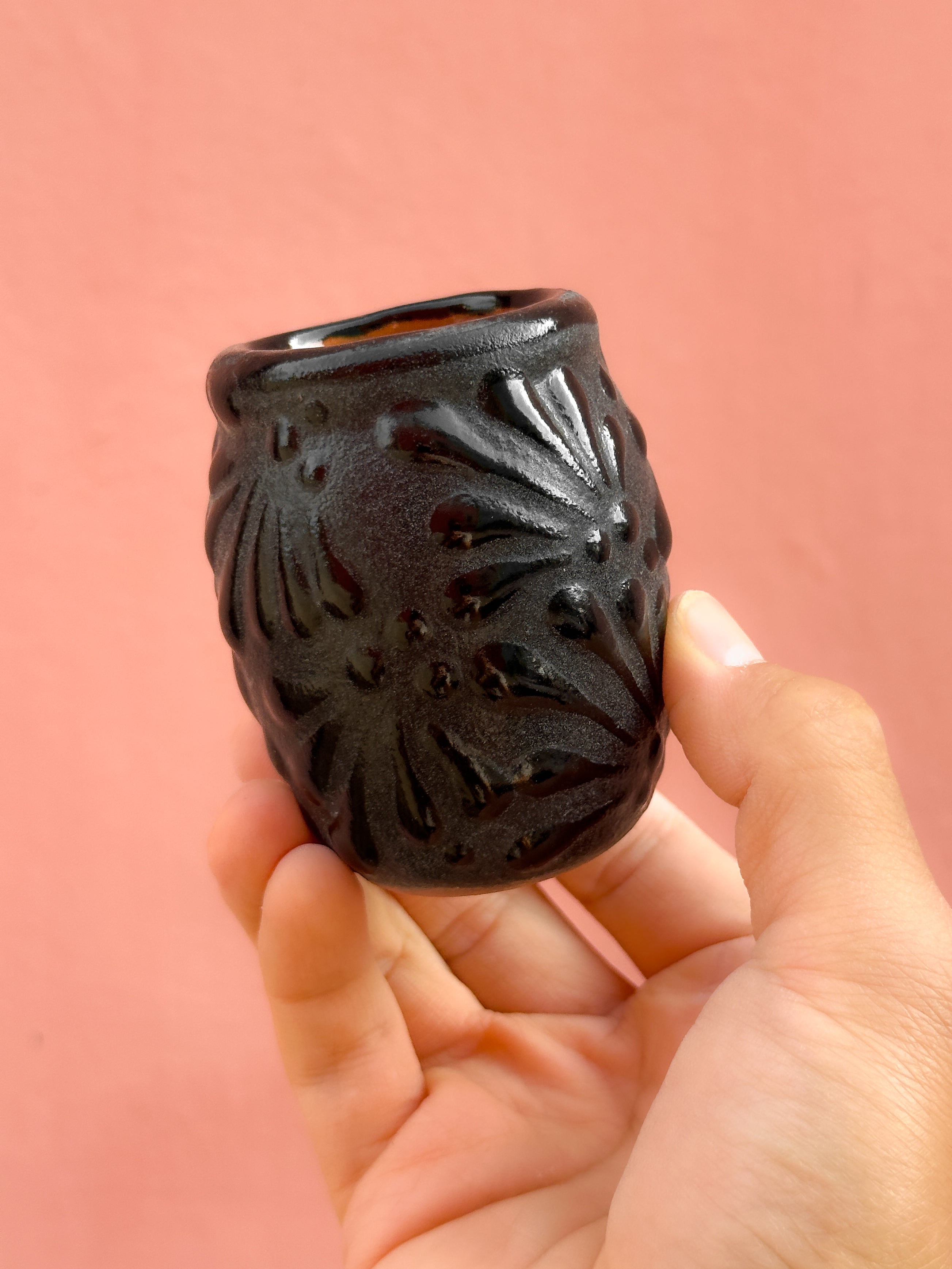 Tequilero Mariposa Monarca Negro -  PREVENTA (6 a 12 SEMANAS)
